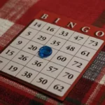 Bingo Puns: Close-up photograph of a red and white Bingo card resting on a red plaid tablecloth, featuring a single translucent blue marker on the center space.