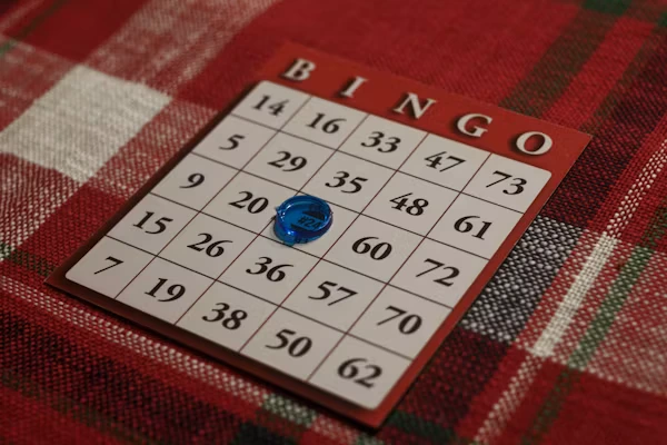 Bingo Puns: Close-up photograph of a red and white Bingo card resting on a red plaid tablecloth, featuring a single translucent blue marker on the center space.