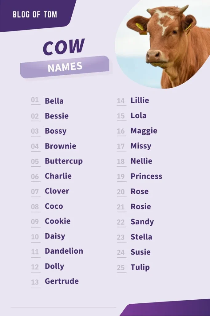 Cute cartoon cow illustration with cow name puns list for funny farm animal naming ideas