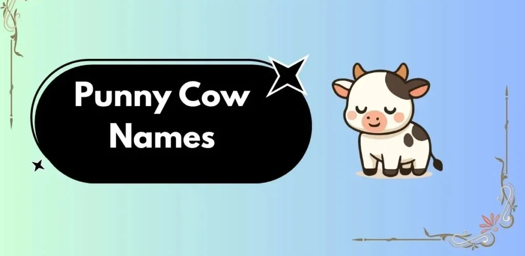 an illustration of a baby cow displaying funny cow name puns