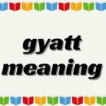 Banner graphic reading "gyatt meaning" with decorative floral, book, and leaf borders.