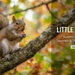 Squirrel Puns featuring a playful squirrel on a tree branch with an acorn, fluffy tail, and colorful autumn scenery